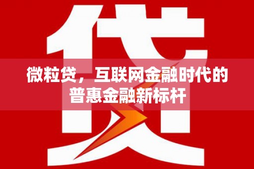 江南微粒贷，互联网金融时代的普惠金融新标杆