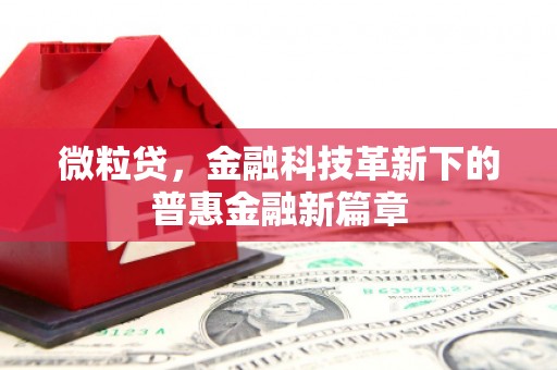 江南微粒贷，金融科技革新下的普惠金融新篇章