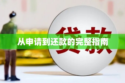 江南从申请到还款的完整指南