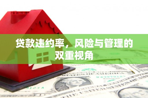 江南贷款违约率，风险与管理的双重视角