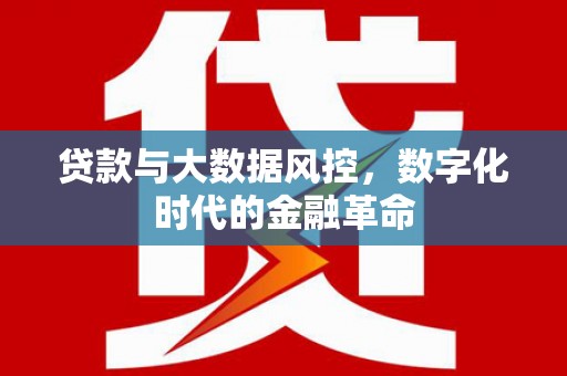 江南贷款与大数据风控，数字化时代的金融革命