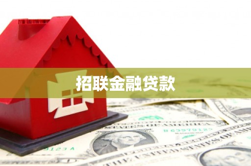 江南招联金融贷款