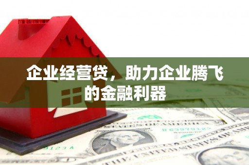江南企业经营贷，助力企业腾飞的金融利器