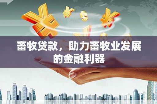江南畜牧贷款，助力畜牧业发展的金融利器