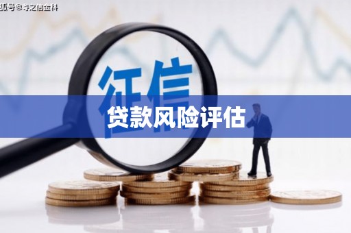 江南贷款风险评估