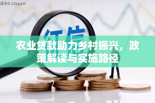江南农业贷款助力乡村振兴，政策解读与实施路径