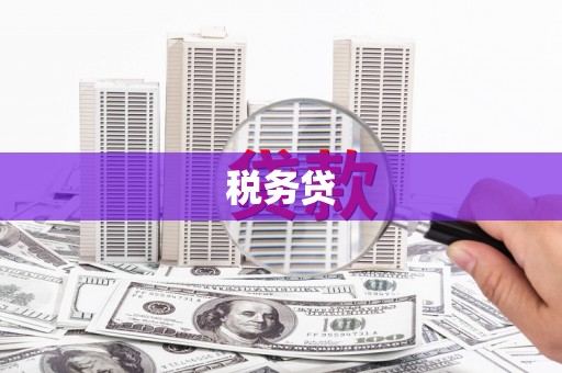 江南税务贷
