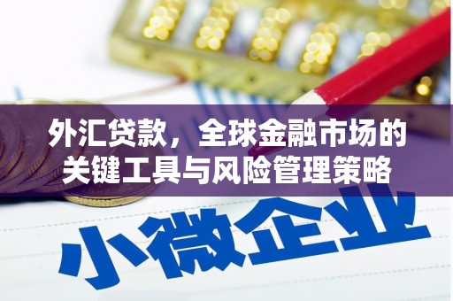 江南外汇贷款，全球金融市场的关键工具与风险管理策略