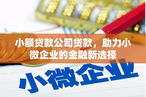 江南小额贷款公司贷款，助力小微企业的金融新选择