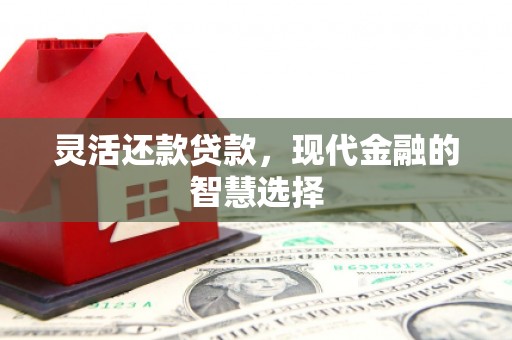 江南灵活还款贷款，现代金融的智慧选择