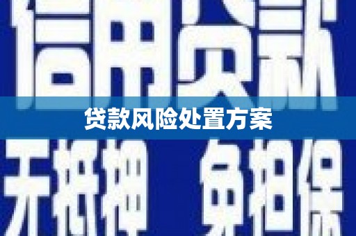 江南贷款风险处置方案