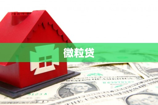 江南微粒贷