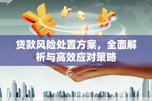 江南贷款风险处置方案，全面解析与高效应对策略