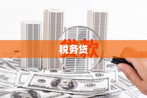 江南税务贷