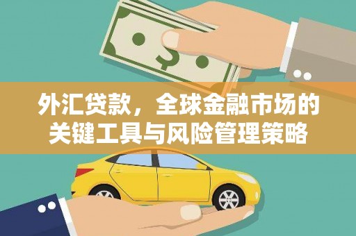 江南外汇贷款，全球金融市场的关键工具与风险管理策略