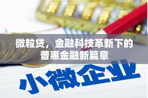 江南微粒贷，金融科技革新下的普惠金融新篇章