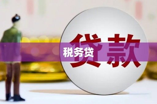 江南税务贷