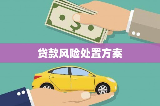 江南贷款风险处置方案