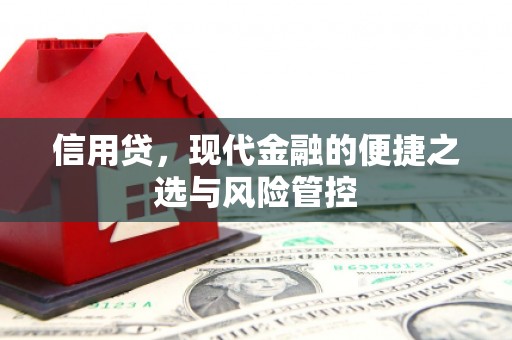 江南信用贷，现代金融的便捷之选与风险管控