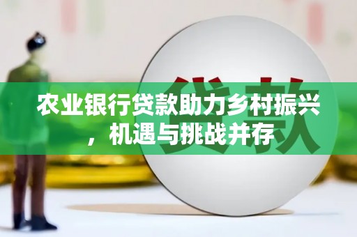 江南农业银行贷款助力乡村振兴，机遇与挑战并存