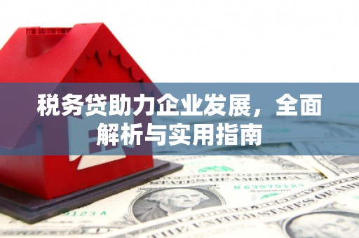 江南税务贷助力企业发展，全面解析与实用指南