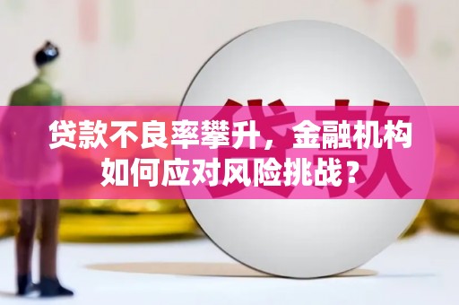 江南贷款不良率攀升，金融机构如何应对风险挑战？