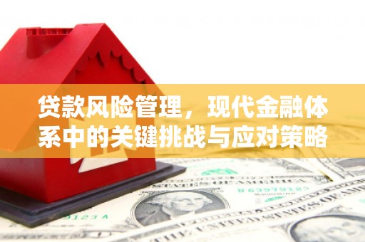 江南贷款风险管理，现代金融体系中的关键挑战与应对策略