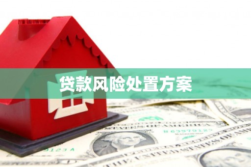 江南贷款风险处置方案