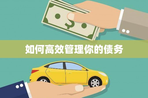 江南如何高效管理你的债务