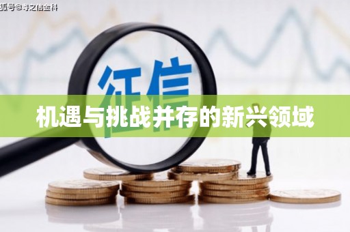 江南机遇与挑战并存的新兴领域