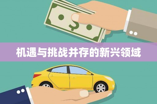 江南机遇与挑战并存的新兴领域