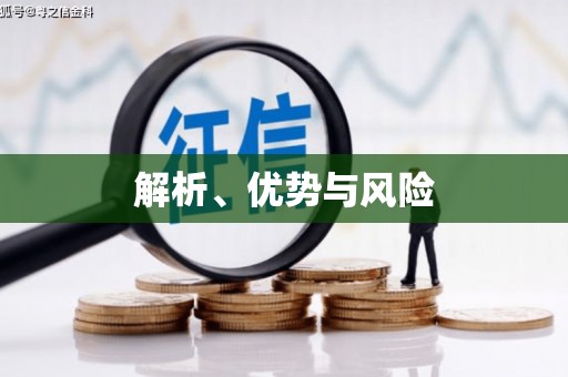 江南解析、优势与风险