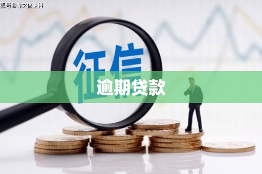 江南逾期贷款