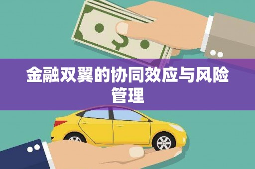 江南金融双翼的协同效应与风险管理