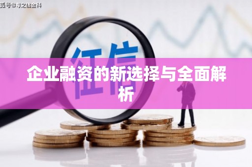 江南企业融资的新选择与全面解析