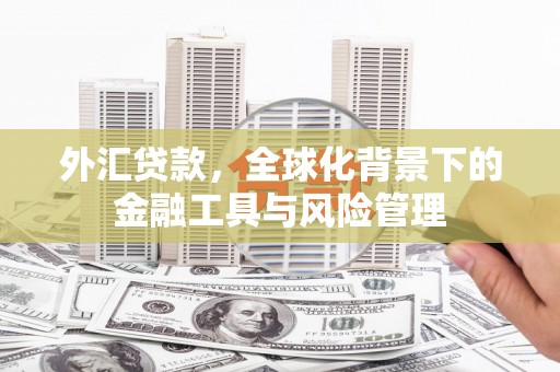 江南外汇贷款，全球化背景下的金融工具与风险管理