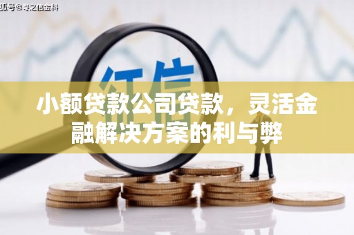 江南小额贷款公司贷款，灵活金融解决方案的利与弊